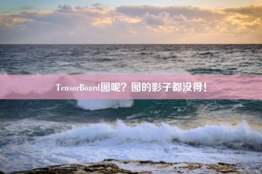 TensorBoard图呢？图的影子都没得！