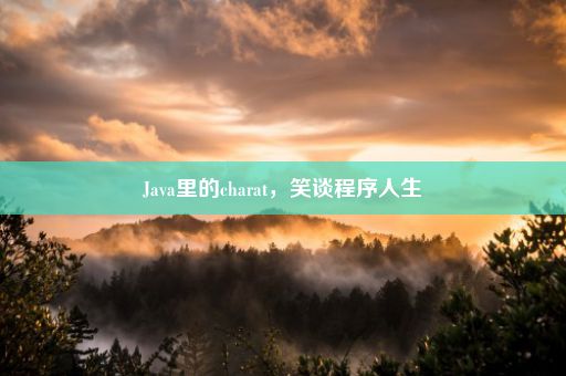 Java里的charat，笑谈程序人生