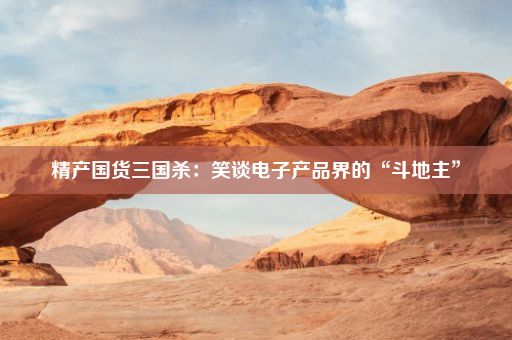 精产国货三国杀：笑谈电子产品界的“斗地主”
