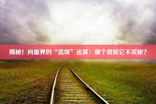 揭秘！向量界的“流氓”运算：哪个规矩它不买账？