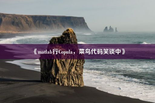 《matlab行Copula，菜鸟代码笑谈中》