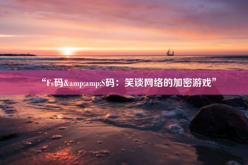 “Fs码&amp;S码：笑谈网络的加密游戏”