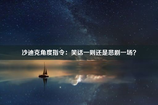 沙迪克角度指令：笑话一则还是悲剧一场？