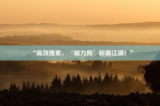 “高效搜索，‘磁力狗’称霸江湖！”