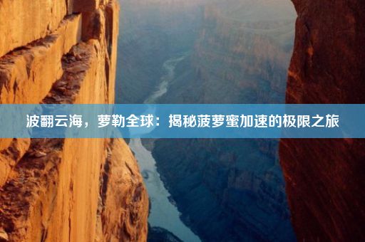 波翻云海，萝勒全球：揭秘菠萝蜜加速的极限之旅