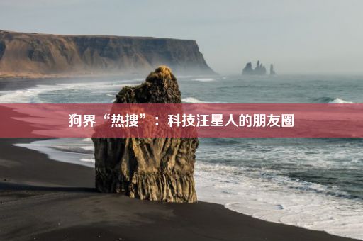 狗界“热搜”：科技汪星人的朋友圈