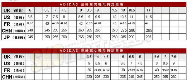“三叶草”编码风云：科技界的翘楚，引领潮流的“密码”