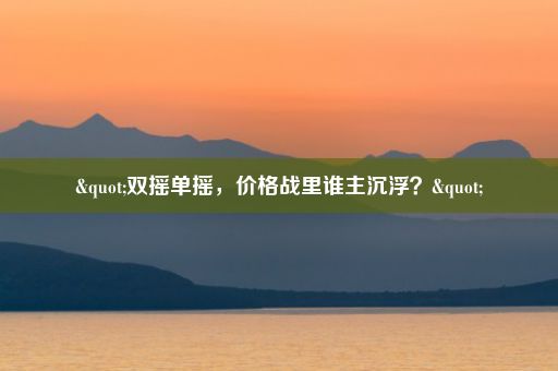 "双摇单摇，价格战里谁主沉浮？"