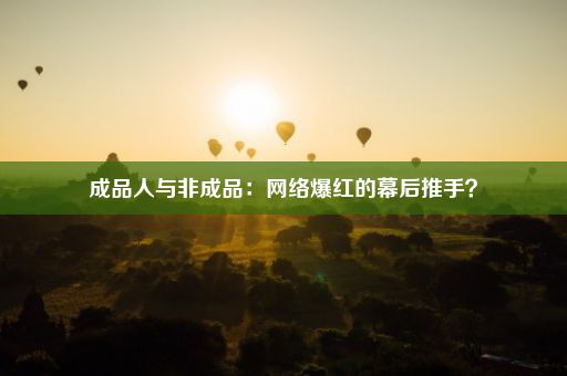 成品人与非成品：网络爆红的幕后推手？