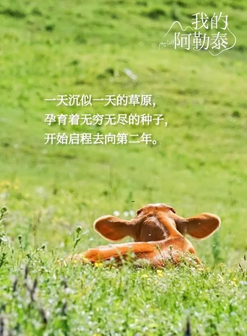 狂戳?收藏，科技圈的新晋网红辣子鸡?️