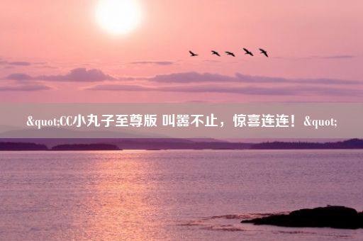 "CC小丸子至尊版 叫嚣不止，惊喜连连！"