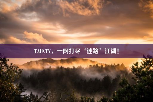 TAI9.TV，一网打尽‘迷路’江湖！