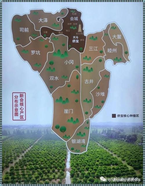 《产区图鉴：亚洲一线二线的幽默自嘲》