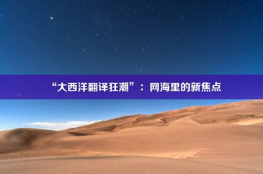 “大西洋翻译狂潮”：网海里的新焦点