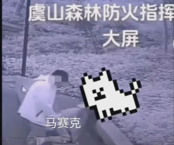 “野外雨中小趣：雨伞拔萝卜，笑谈科技新潮流”