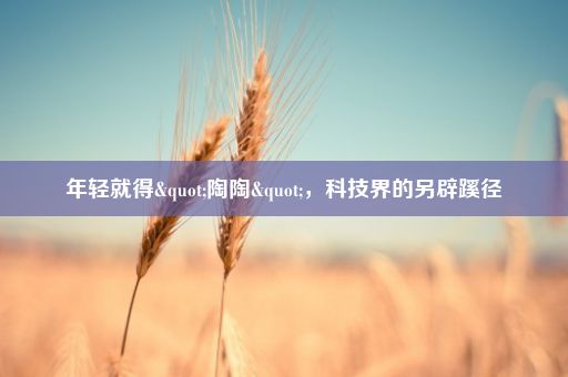 年轻就得"陶陶"，科技界的另辟蹊径