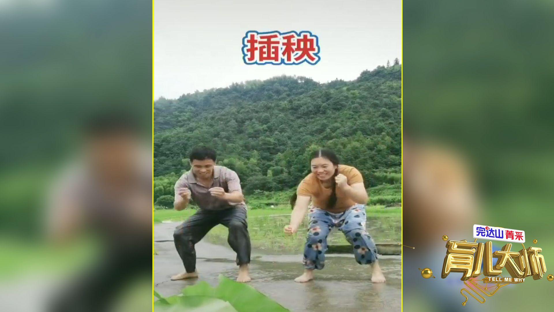 瞧这一对儿，田里“插秧秀”燃爆网络！