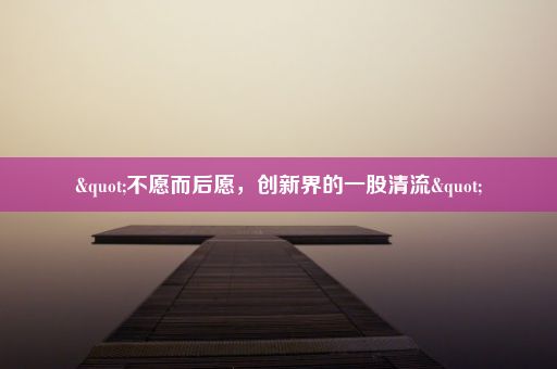 "不愿而后愿，创新界的一股清流"