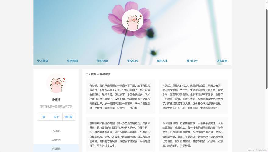 码海弄潮，自嘲笑谈：我的震撼全网网页源码