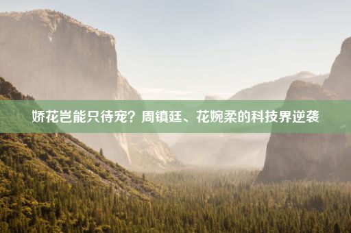 娇花岂能只待宠？周镇廷、花婉柔的科技界逆袭