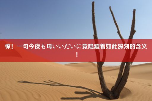 惊！一句今夜も母いいだいに竟隐藏着如此深刻的含义！