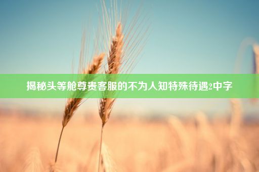 揭秘头等舱尊贵客服的不为人知特殊待遇2中字