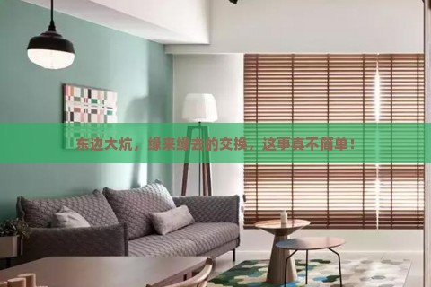 东边大炕，缘来缘去的交换，这事真不简单！