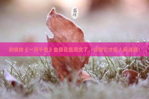 别傻找《一泻千里》金银花露原文了，读懂它才是人间清醒！