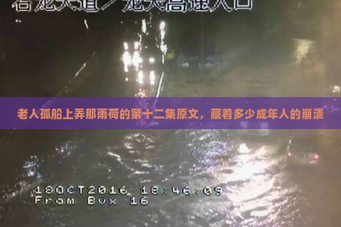 老人孤船上弄那雨荷的第十二集原文，藏着多少成年人的崩溃