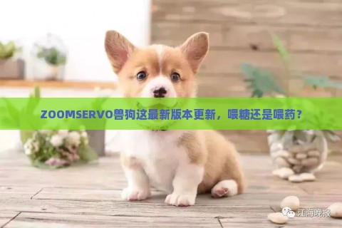 ZOOMSERVO兽狗这最新版本更新，喂糖还是喂药？