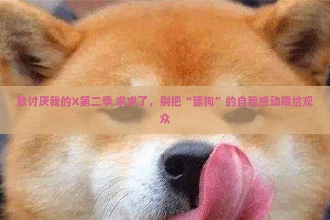 致讨厌我的X第二季 求求了，别把“舔狗”的自我感动喂给观众